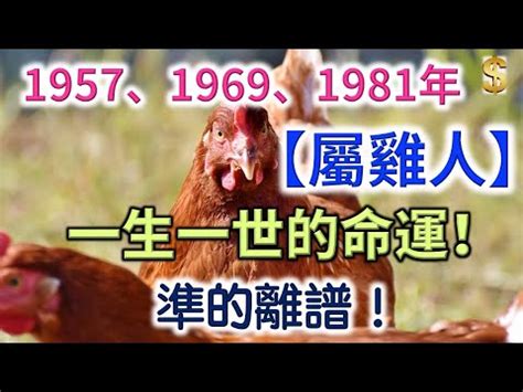 70年次屬雞五行|十二生肖五行屬性對照表